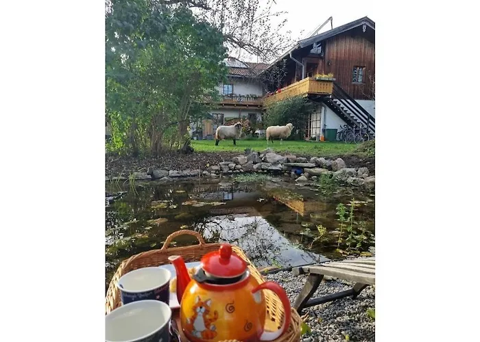 Vakantiehuis Og
